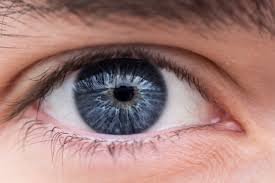 Eye Diseases